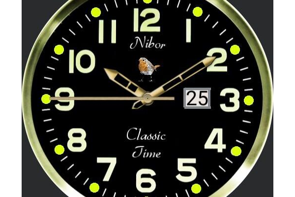 Classic Time Watch