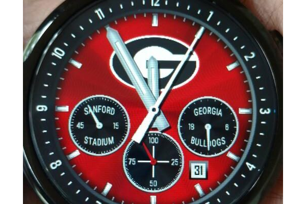 Georgia Bulldogs Diver by QWW