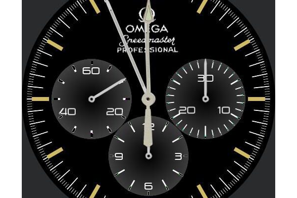 the Omega Speedmaster Moon watch