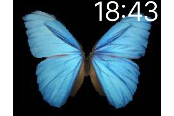 Butterfly Motion Apple Watch