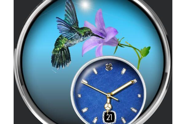 Hummingbird
