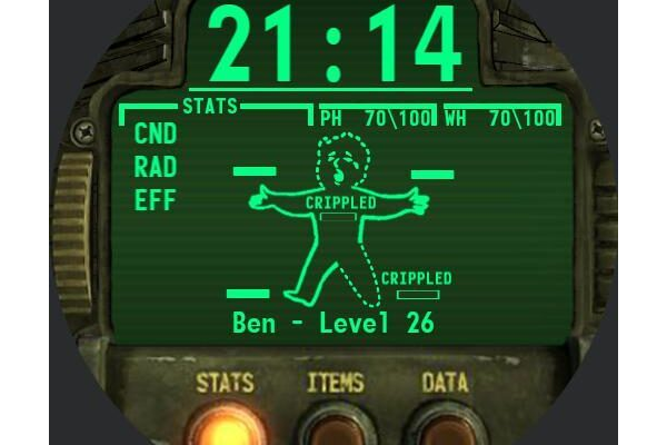 Pipboy 3001