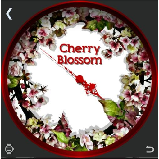 Cherry Blossom