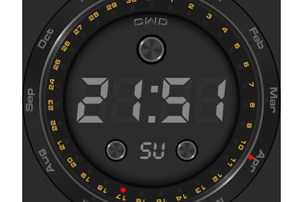 Standard digital watch