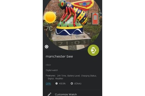 Manchester Bee