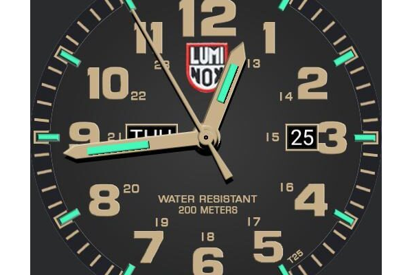 Luminox Atacama Field 1925