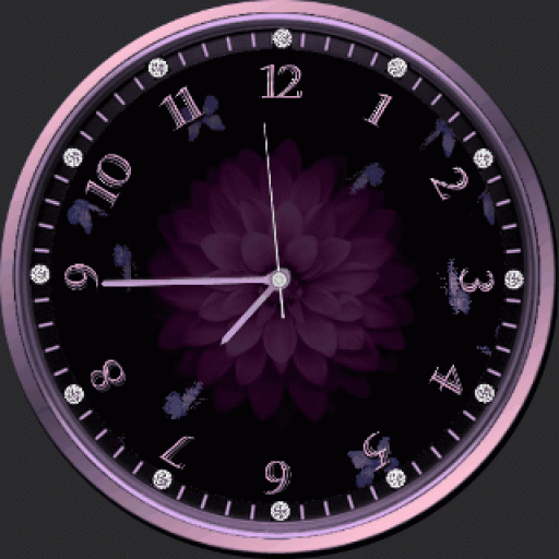 butterfly watch