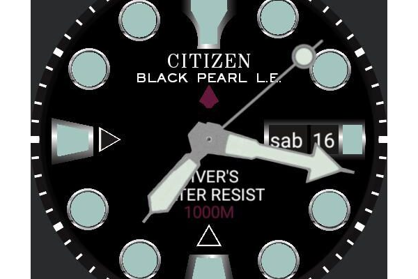 Citizen Ny0040 "Black Pearl" limited edition