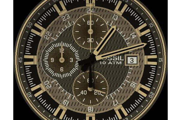 Fossil Chronograph, Reference CH 2497 and CH 2446 Lite