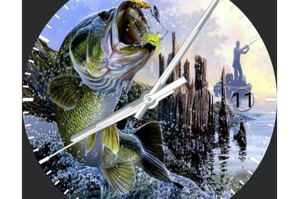 Bass fishing
