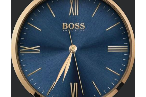 Hugo boss rose gold