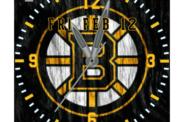 Boston Bruins
