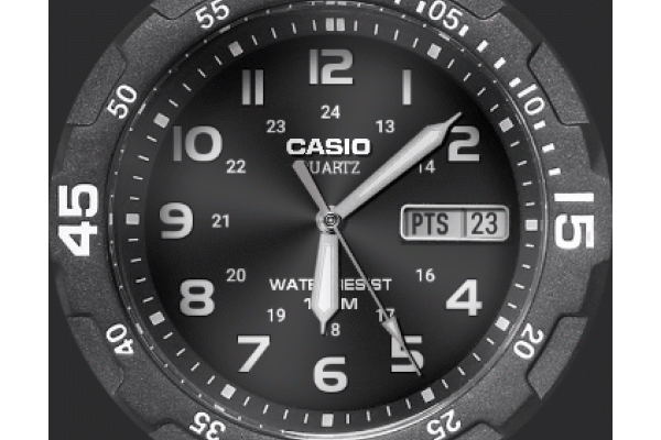 casio mrw 200
