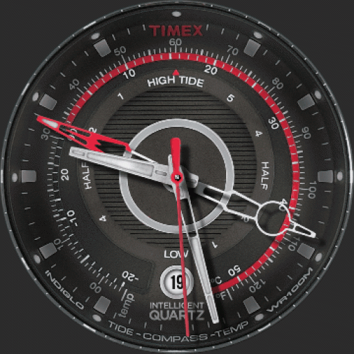 timex compass