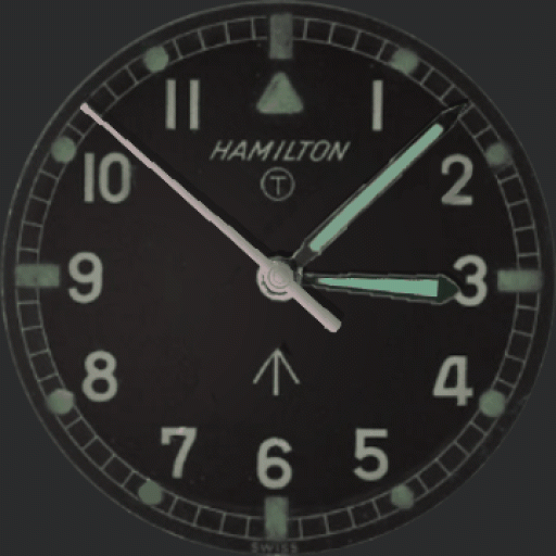 Hamilton Field Watch