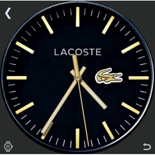 LACOSTE BLACK AND GOLD