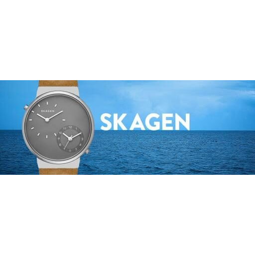 Skagen Ancher Dual-Time Tribute