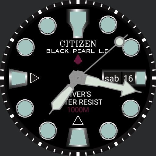 Citizen Ny0040 "Black Pearl" limited edition